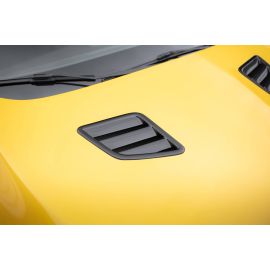 Maske Schlitze Renault Megane RS Mk3