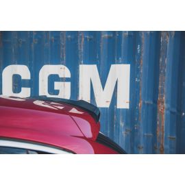 Spoiler Cap Citroen DS4