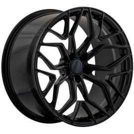 Aversus Tyran Glanz-Schwarz